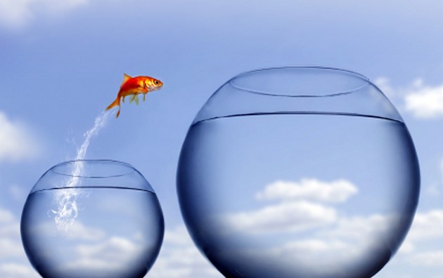 9 Basic Steps to a Successful ERP Implementation (Part 1)