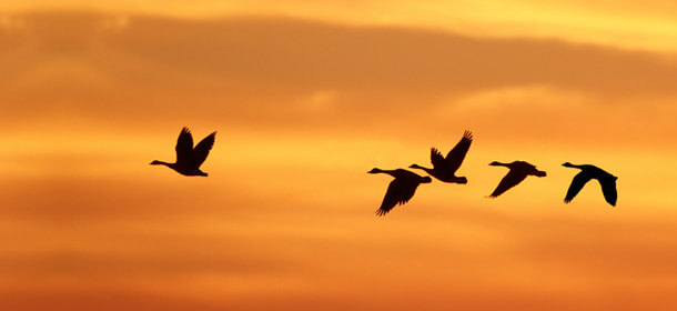Which Leadership’s Key Factor is Unintentionally Forgotten?