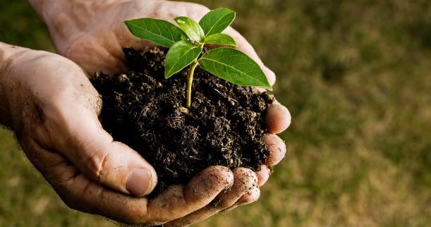 7 cách để nuôi dưỡng Tư duy phát triển