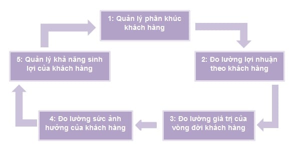Minh họa việc Xây dựng và Quản lý giá trị khách hàng trong thực tế