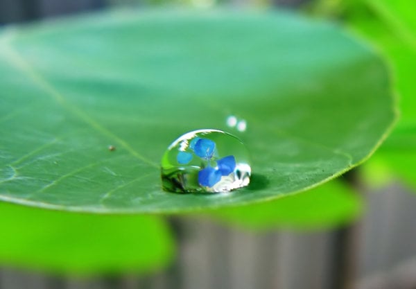 Tài sản vô hình: thách thức mới trong quản lý tài chính
