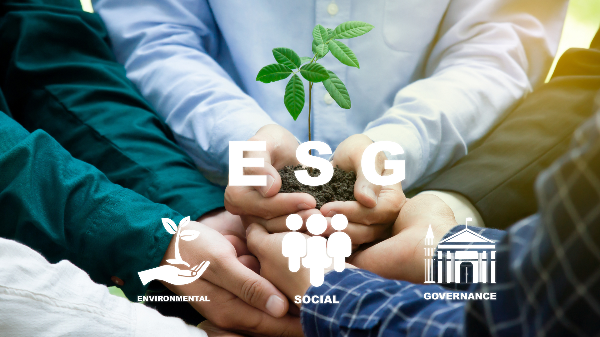 Accounting & ESG: A Winning Combo
